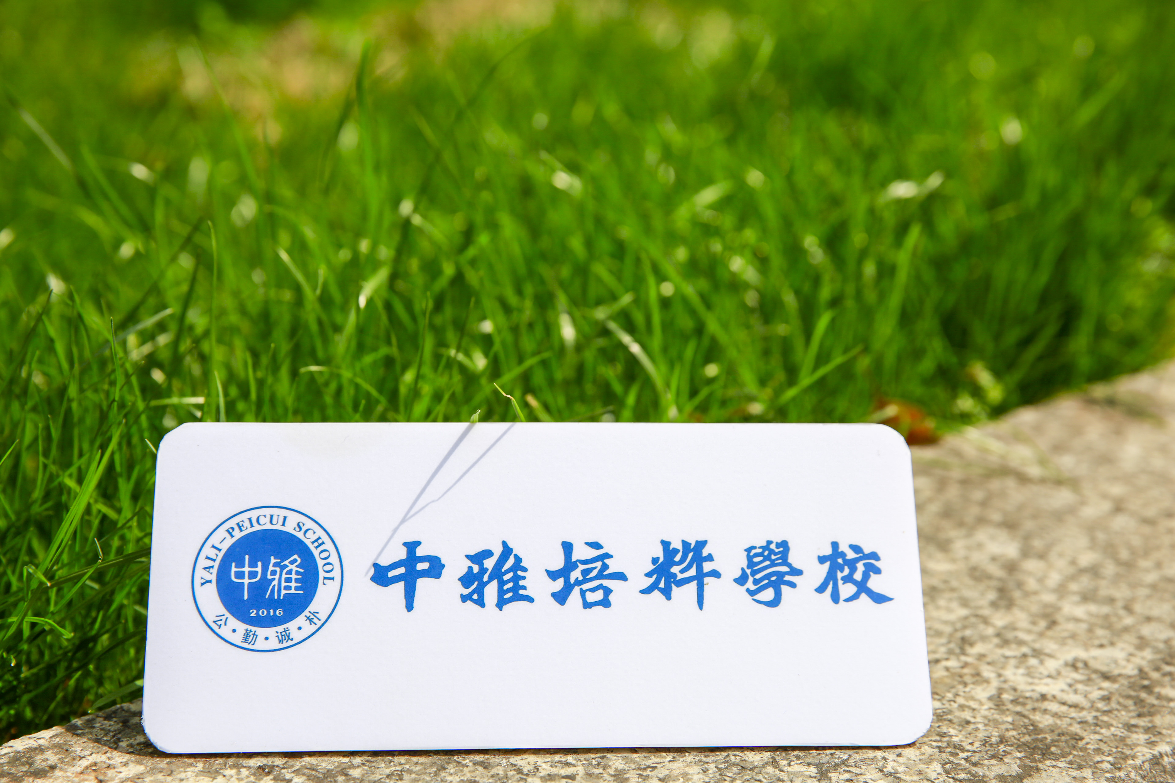 迈进新纪元，礼赞新时代——2019年度学生获奖总结 ?