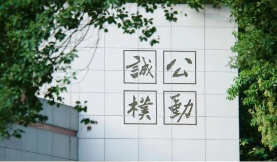 我们的2022｜循道而行，追光而往
