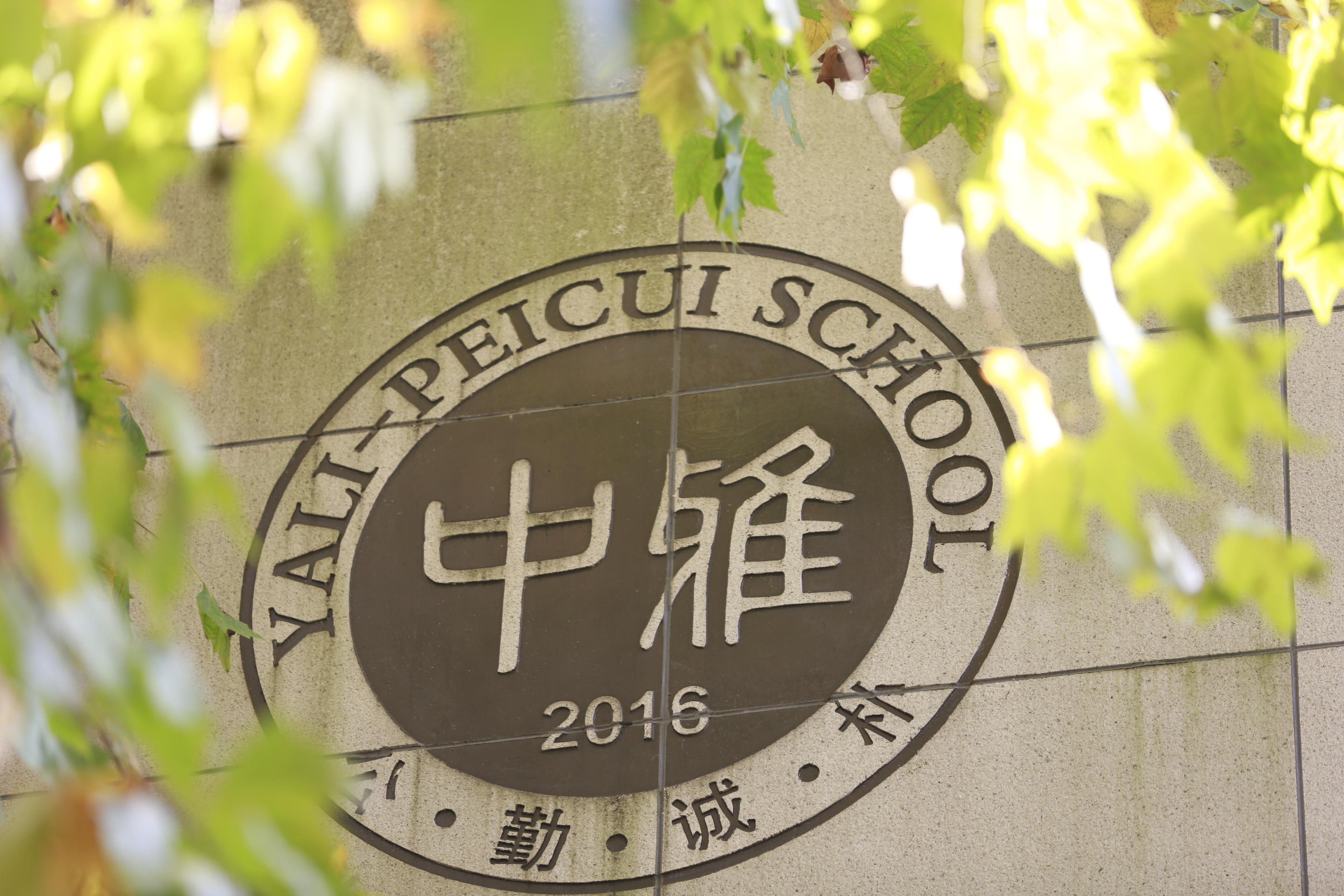 2023年长沙市中雅培粹学校公开招聘教师公告